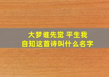 大梦谁先觉 平生我自知这首诗叫什么名字